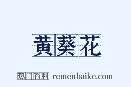 黄葵花是什么意思的图片